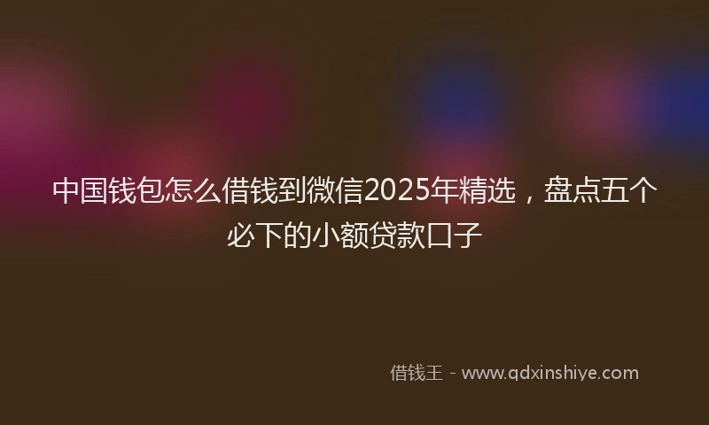 中国钱包怎么借钱到微信2025年精选，盘点五个必下的小额贷款口子