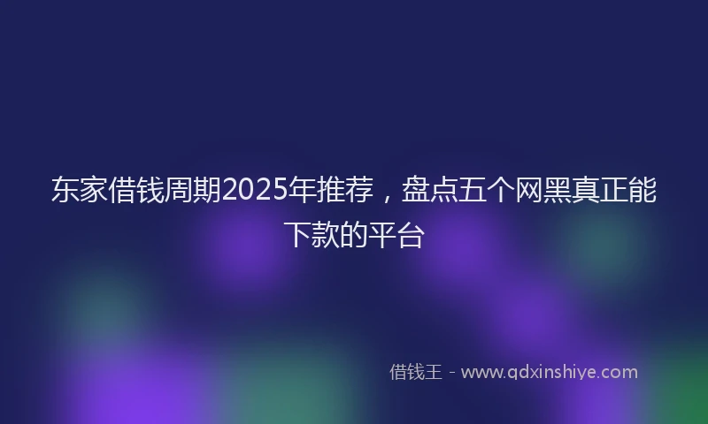 东家借钱周期2025年推荐，盘点五个网黑真正能下款的平台