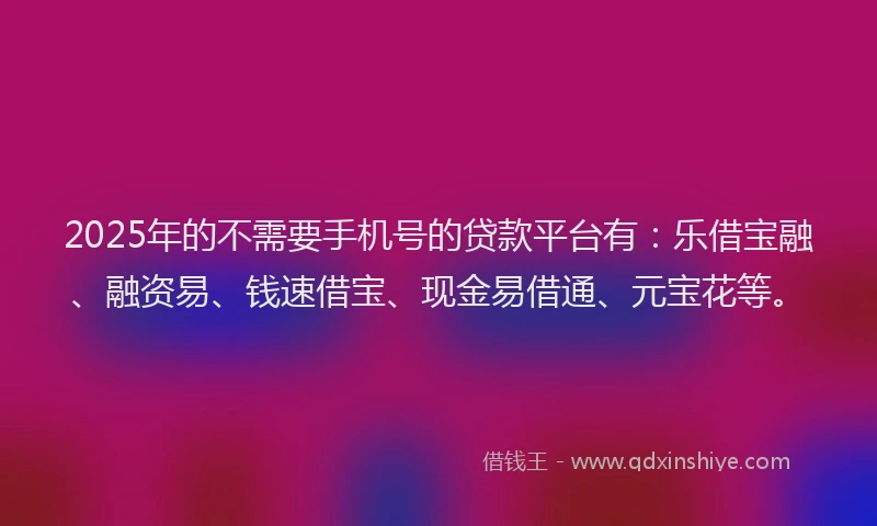 2025年的不需要手机号的贷款平台有：乐借宝融、融资易、钱速借宝、现金易借通、元宝花等。
