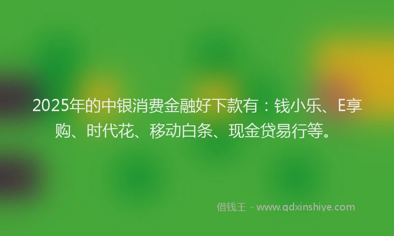 2025年的中银消费金融好下款有：钱小乐、E享购、时代花、移动白条、现金贷易行等。