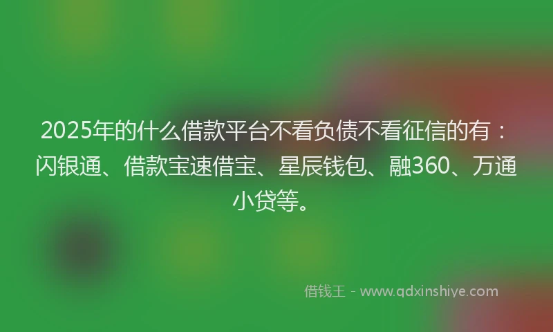 2025年的什么借款平台不看负债不看征信的有：闪银通、借款宝速借宝、星辰钱包、融360、万通小贷等。