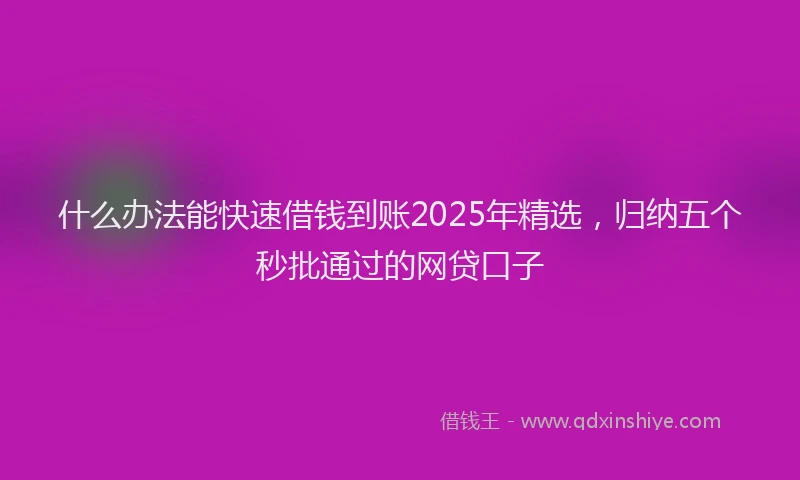 什么办法能快速借钱到账2025年精选，归纳五个秒批通过的网贷口子