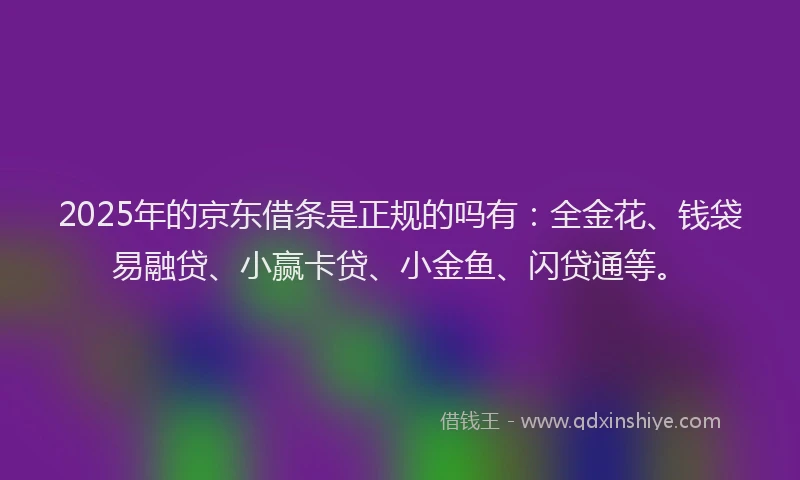 2025年的京东借条是正规的吗有：全金花、钱袋易融贷、小赢卡贷、小金鱼、闪贷通等。