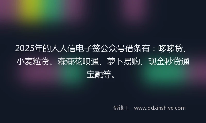 2025年的人人信电子签公众号借条有：哆哆贷、小麦粒贷、森森花呗通、萝卜易购、现金秒贷通宝融等。