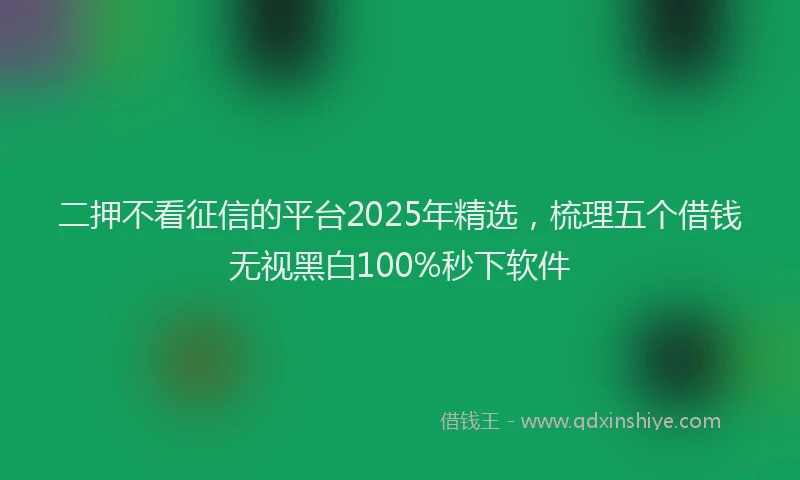 二押不看征信的平台2025年精选，梳理五个借钱无视黑白100%秒下软件