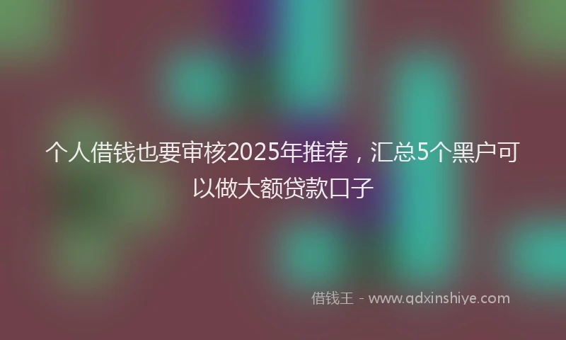 个人借钱也要审核2025年推荐，汇总5个黑户可以做大额贷款口子