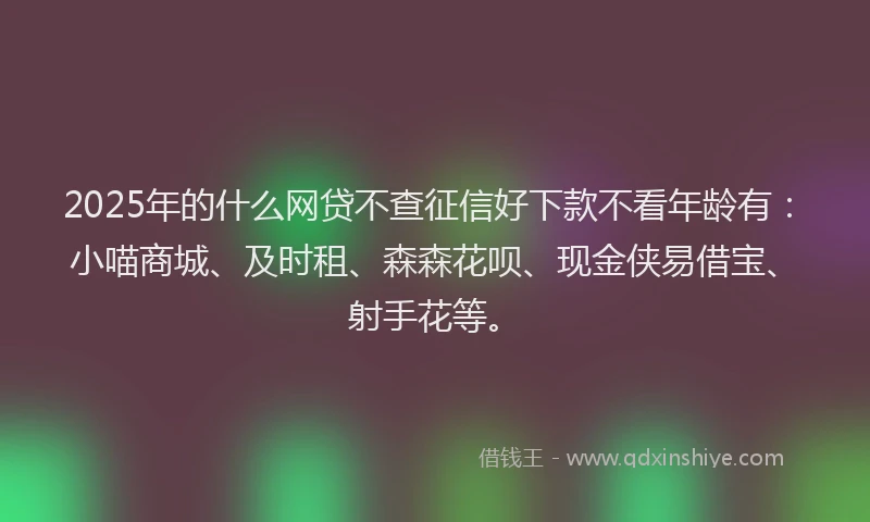 2025年的什么网贷不查征信好下款不看年龄有：小喵商城、及时租、森森花呗、现金侠易借宝、射手花等。