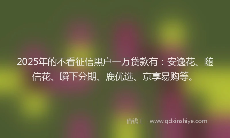 2025年的不看征信黑户一万贷款有：安逸花、随信花、瞬下分期、鹿优选、京享易购等。