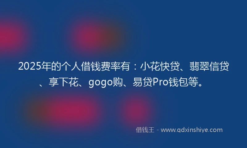 2025年的个人借钱费率有：小花快贷、翡翠信贷、享下花、gogo购、易贷Pro钱包等。