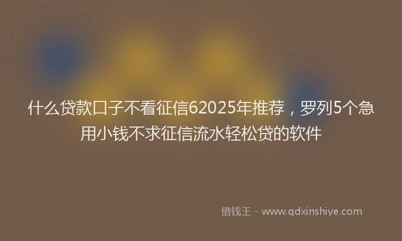 什么贷款口子不看征信62025年推荐，罗列5个急用小钱不求征信流水轻松贷的软件