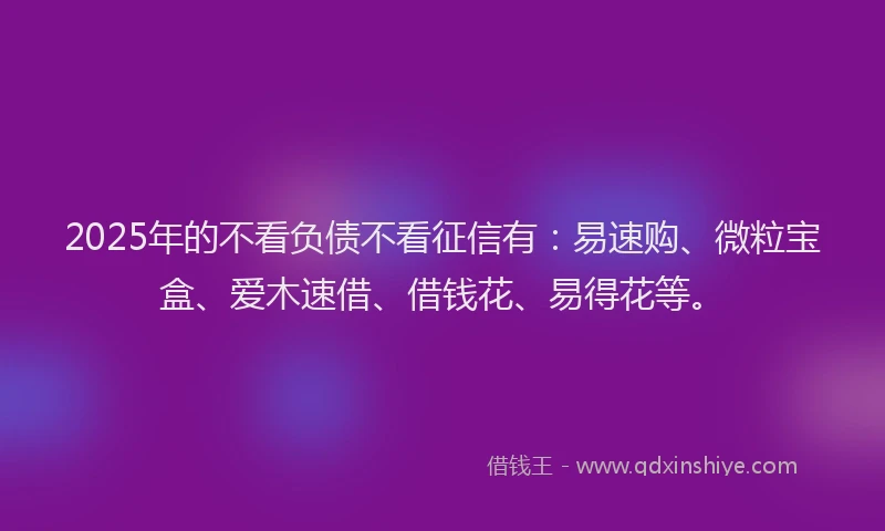 2025年的不看负债不看征信有：易速购、微粒宝盒、爱木速借、借钱花、易得花等。