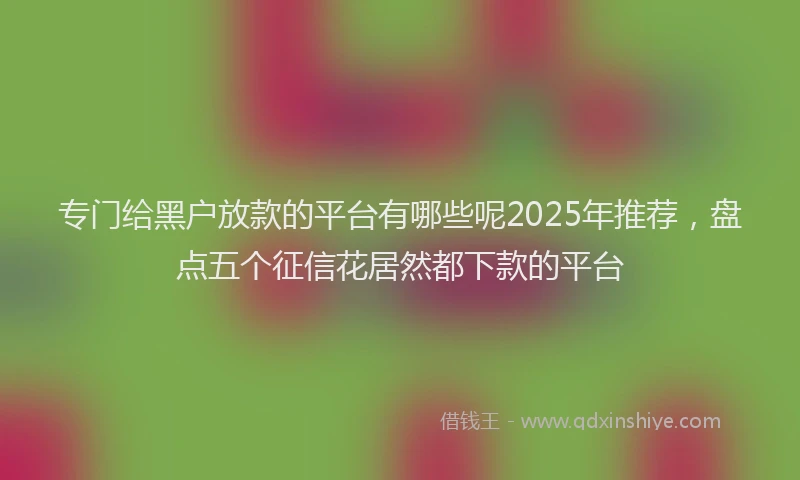 专门给黑户放款的平台有哪些呢2025年推荐，盘点五个征信花居然都下款的平台