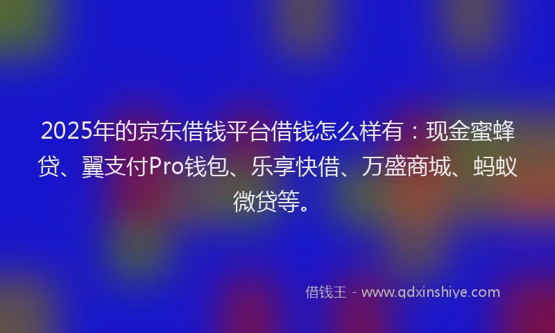 2025年的京东借钱平台借钱怎么样有：现金蜜蜂贷、翼支付Pro钱包、乐享快借、万盛商城、蚂蚁微贷等。