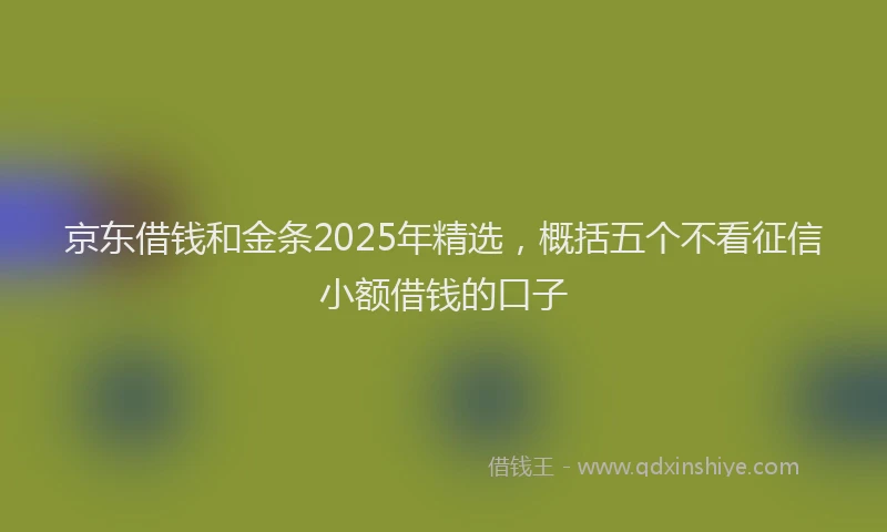 京东借钱和金条2025年精选，概括五个不看征信小额借钱的口子