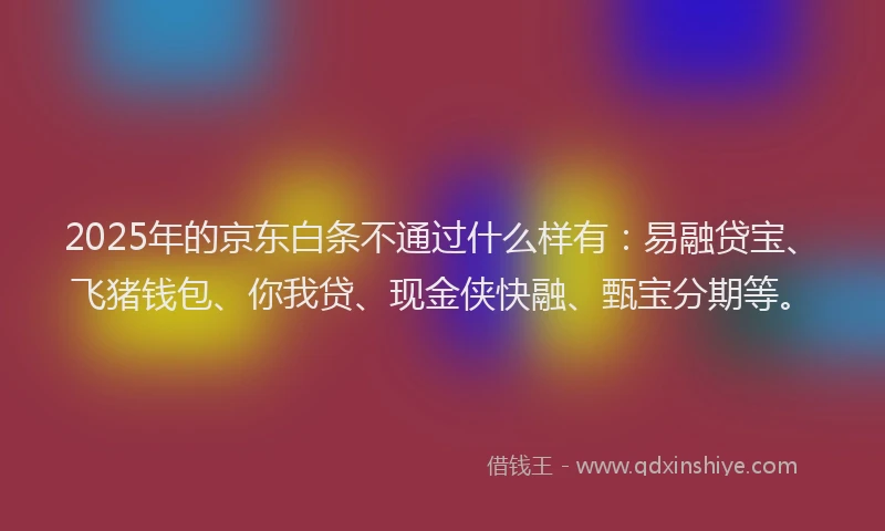 2025年的京东白条不通过什么样有：易融贷宝、飞猪钱包、你我贷、现金侠快融、甄宝分期等。