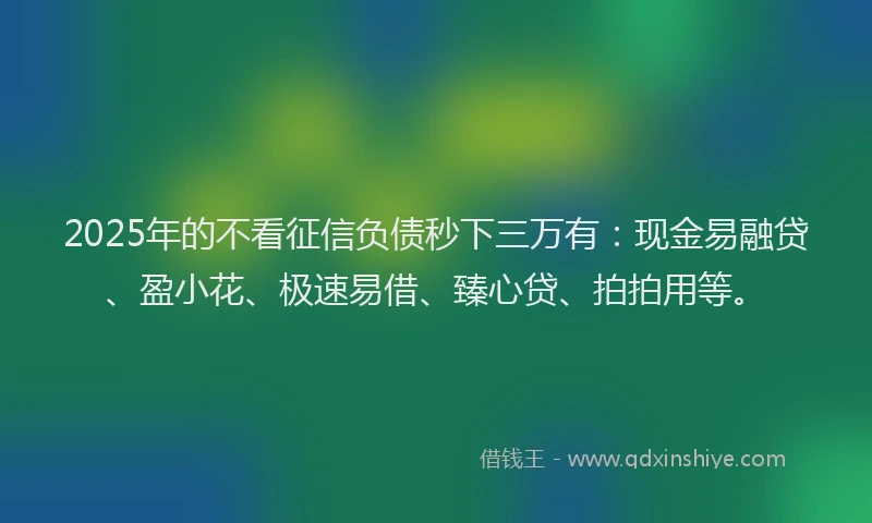 2025年的不看征信负债秒下三万有：现金易融贷、盈小花、极速易借、臻心贷、拍拍用等。