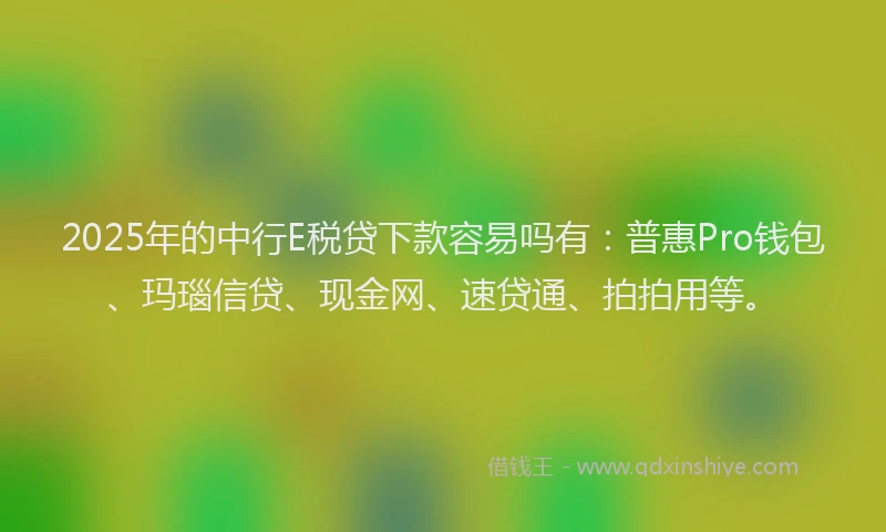 2025年的中行E税贷下款容易吗有：普惠Pro钱包、玛瑙信贷、现金网、速贷通、拍拍用等。