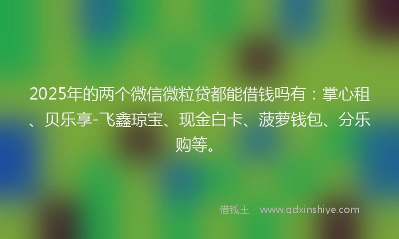 2025年的两个微信微粒贷都能借钱吗有：掌心租、贝乐享-飞鑫琼宝、现金白卡、菠萝钱包、分乐购等。