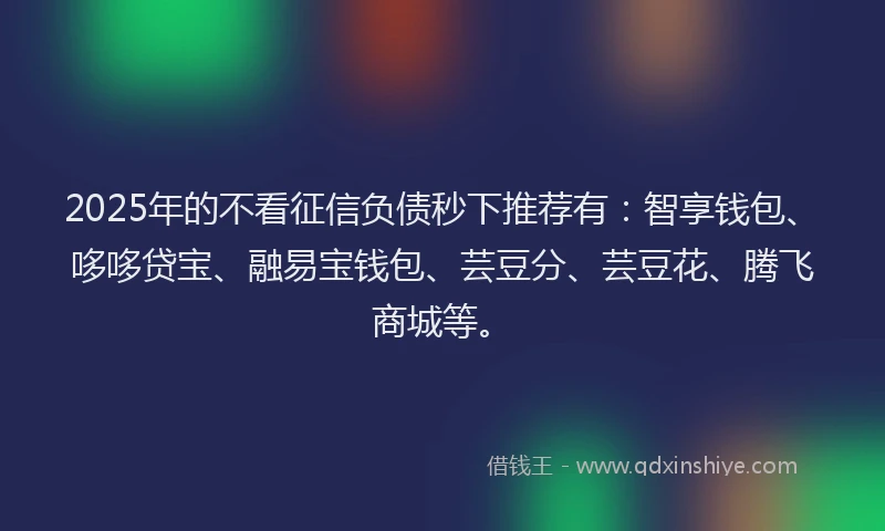 2025年的不看征信负债秒下推荐有：智享钱包、哆哆贷宝、融易宝钱包、芸豆分、芸豆花、腾飞商城等。