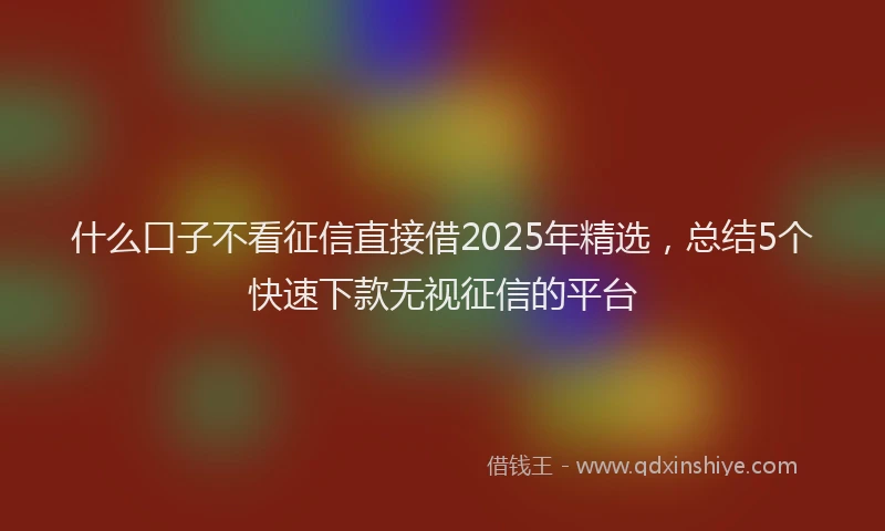 什么口子不看征信直接借2025年精选，总结5个快速下款无视征信的平台