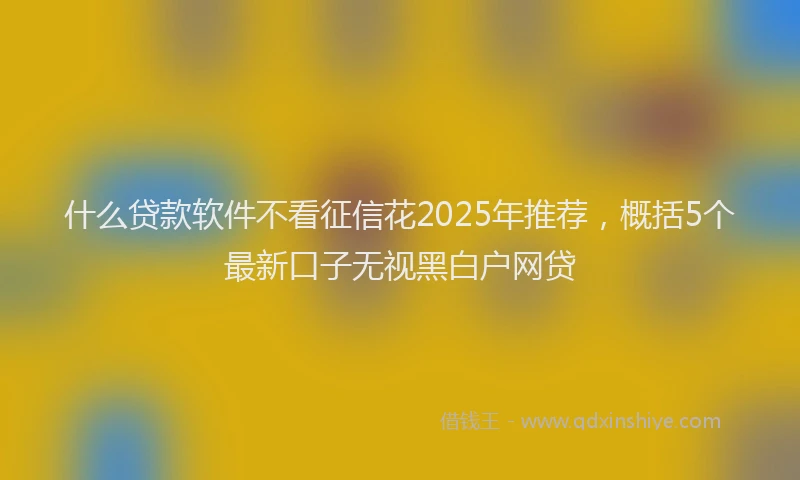 什么贷款软件不看征信花2025年推荐，概括5个最新口子无视黑白户网贷