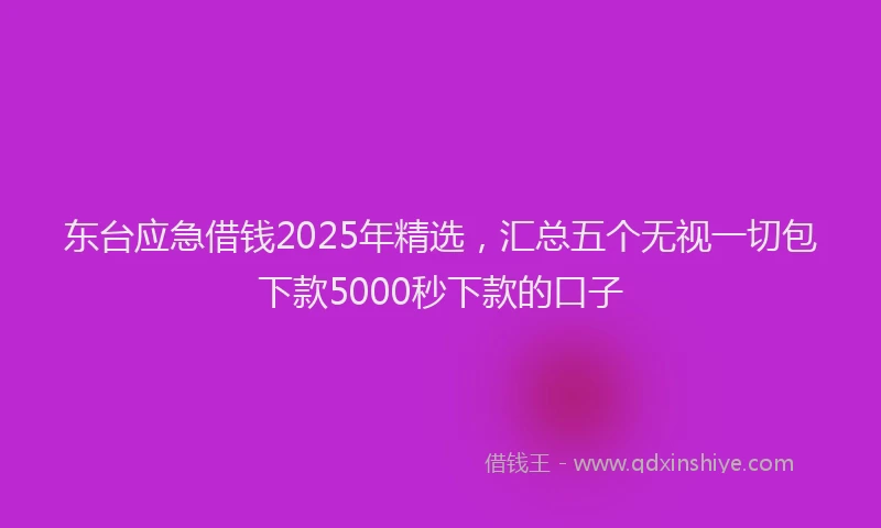 东台应急借钱2025年精选，汇总五个无视一切包下款5000秒下款的口子
