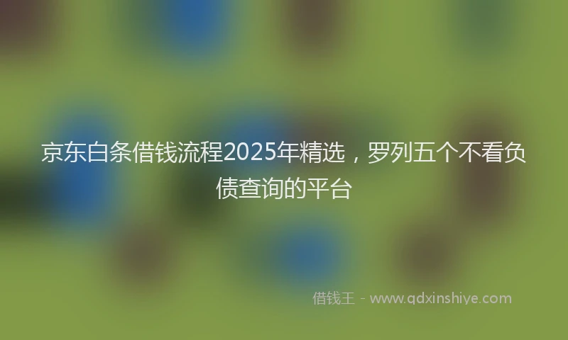 京东白条借钱流程2025年精选，罗列五个不看负债查询的平台