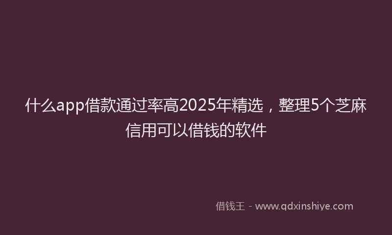 什么app借款通过率高2025年精选，整理5个芝麻信用可以借钱的软件