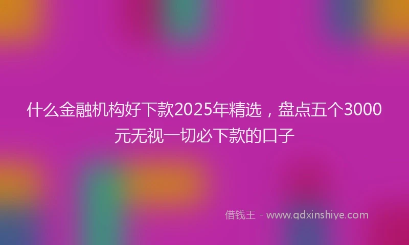 什么金融机构好下款2025年精选，盘点五个3000元无视一切必下款的口子