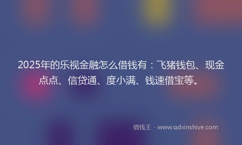 2025年的乐视金融怎么借钱有：飞猪钱包、现金点点、信贷通、度小满、钱速借宝等。