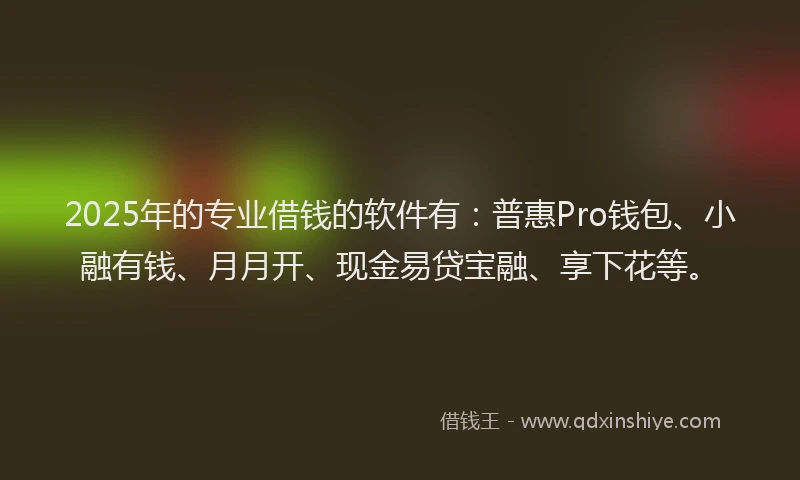 2025年的专业借钱的软件有：普惠Pro钱包、小融有钱、月月开、现金易贷宝融、享下花等。