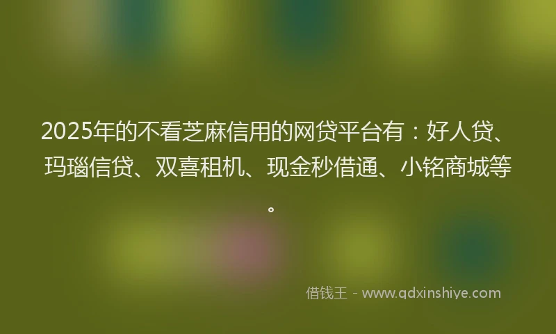 2025年的不看芝麻信用的网贷平台有：好人贷、玛瑙信贷、双喜租机、现金秒借通、小铭商城等。