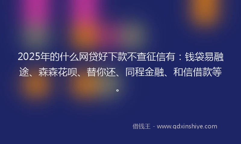 2025年的什么网贷好下款不查征信有：钱袋易融途、森森花呗、替你还、同程金融、和信借款等。