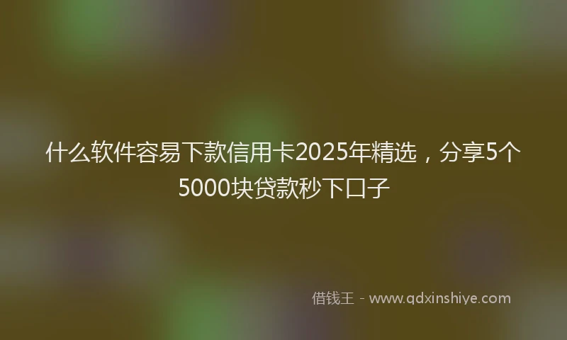 什么软件容易下款信用卡2025年精选，分享5个5000块贷款秒下口子