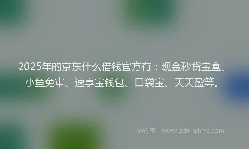 2025年的京东什么借钱官方有：现金秒贷宝盒、小鱼免审、速享宝钱包、口袋宝、天天盈等。