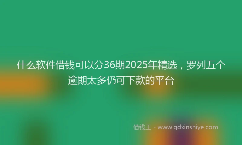 什么软件借钱可以分36期2025年精选，罗列五个逾期太多仍可下款的平台