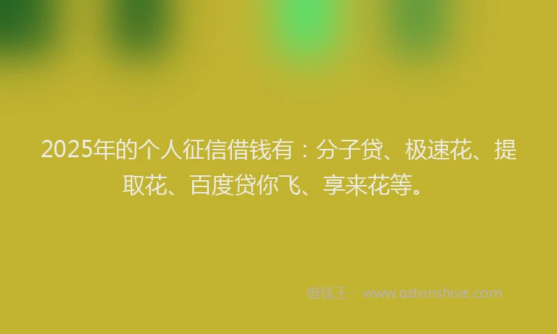 2025年的个人征信借钱有：分子贷、极速花、提取花、百度贷你飞、享来花等。