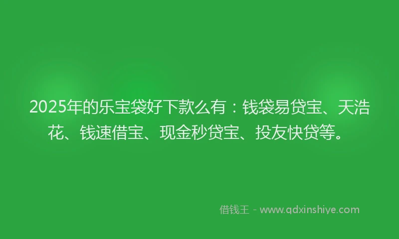 2025年的乐宝袋好下款么有：钱袋易贷宝、天浩花、钱速借宝、现金秒贷宝、投友快贷等。