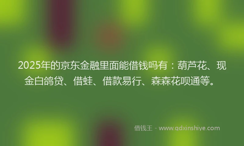 2025年的京东金融里面能借钱吗有：葫芦花、现金白鸽贷、借蛙、借款易行、森森花呗通等。