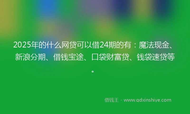 2025年的什么网贷可以借24期的有：魔法现金、新浪分期、借钱宝途、口袋财富贷、钱袋速贷等。