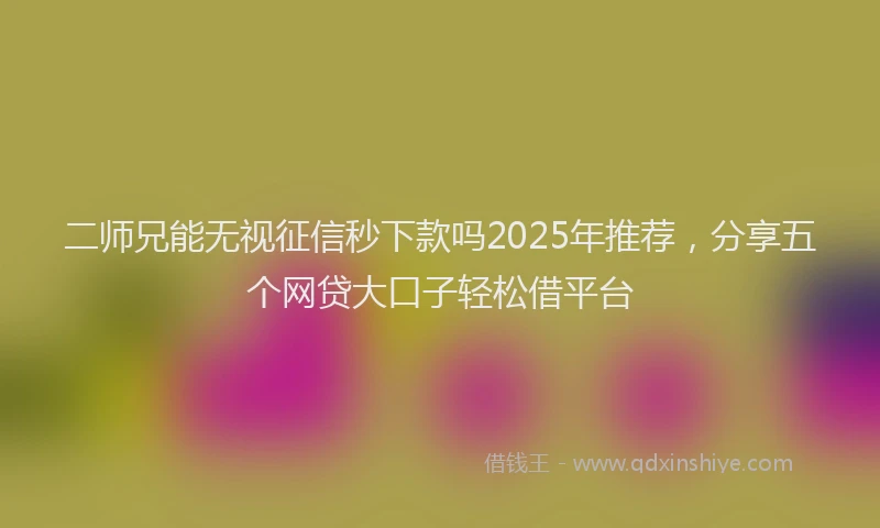 二师兄能无视征信秒下款吗2025年推荐，分享五个网贷大口子轻松借平台