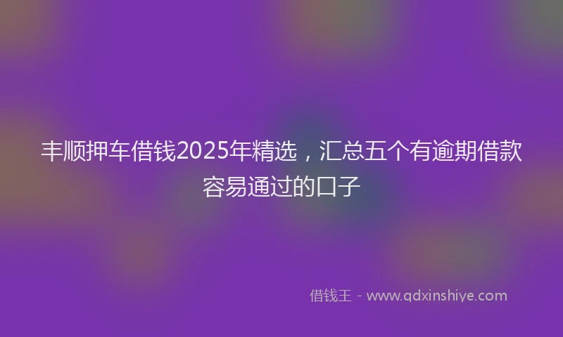 丰顺押车借钱2025年精选，汇总五个有逾期借款容易通过的口子