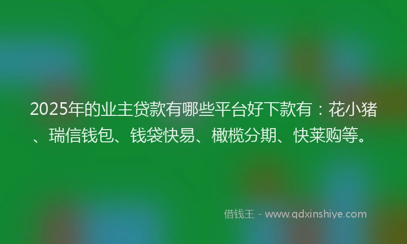 2025年的业主贷款有哪些平台好下款有：花小猪、瑞信钱包、钱袋快易、橄榄分期、快莱购等。