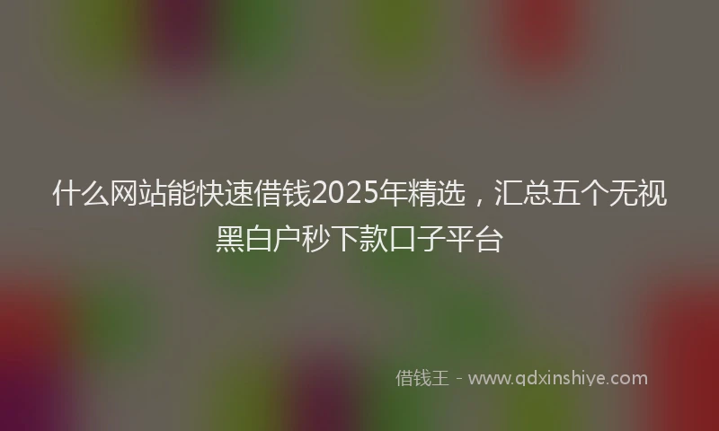 什么网站能快速借钱2025年精选，汇总五个无视黑白户秒下款口子平台