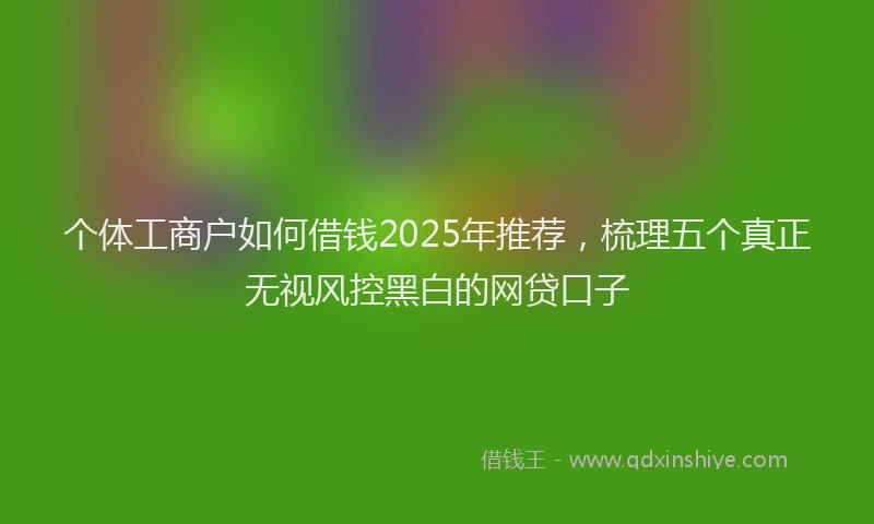 个体工商户如何借钱2025年推荐，梳理五个真正无视风控黑白的网贷口子
