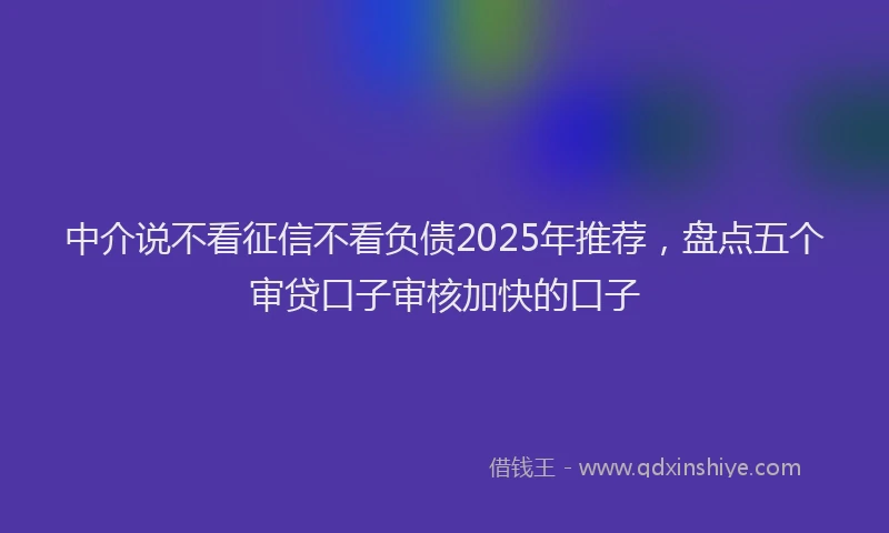 中介说不看征信不看负债2025年推荐，盘点五个审贷口子审核加快的口子