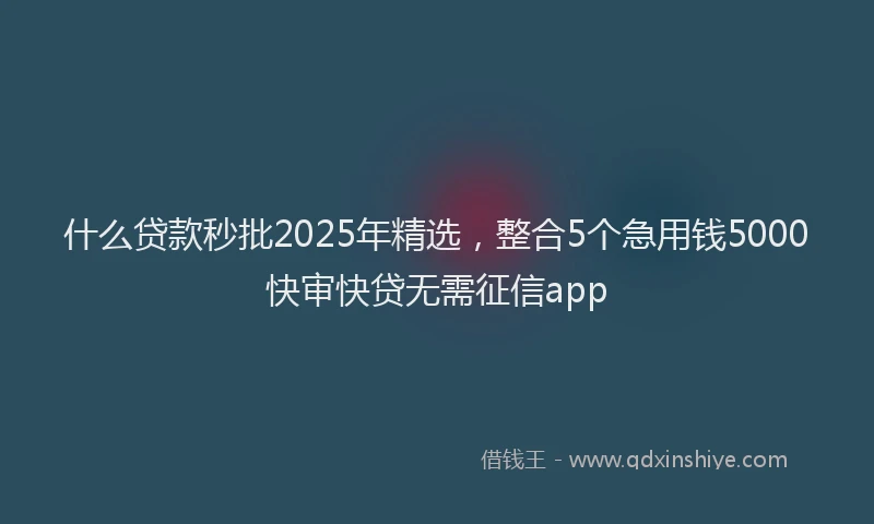 什么贷款秒批2025年精选，整合5个急用钱5000快审快贷无需征信app