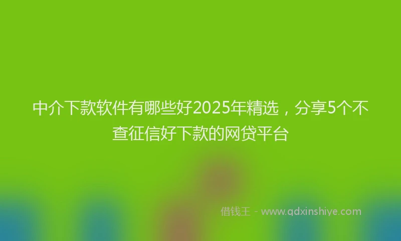 中介下款软件有哪些好2025年精选，分享5个不查征信好下款的网贷平台
