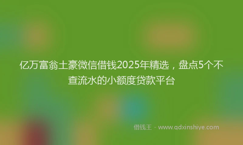 亿万富翁土豪微信借钱2025年精选，盘点5个不查流水的小额度贷款平台