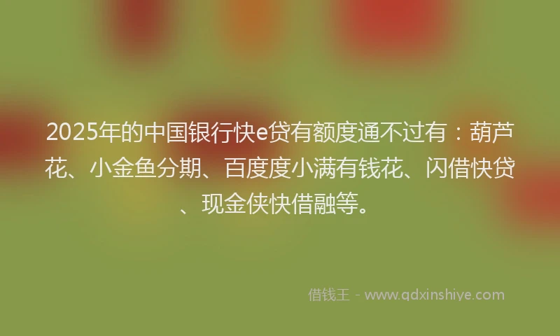 2025年的中国银行快e贷有额度通不过有：葫芦花、小金鱼分期、百度度小满有钱花、闪借快贷、现金侠快借融等。